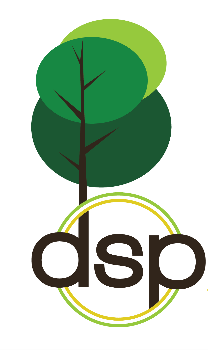 DSP Logo